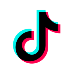 Tiktok Service